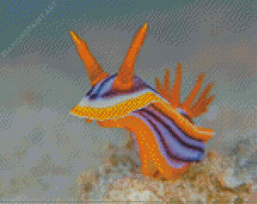 Nudibranch Sea Slug Diamond Paintings