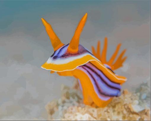 Nudibranch Sea Slug Diamond Paintings