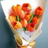 Orange Tulips Flowers Diamond Painting