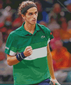 Pierre Hugues Herbert Professional Player Diamond Painting