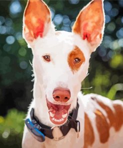 Podenco Dog Face Diamond Painting