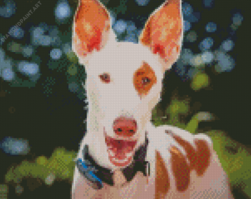 Podenco Dog Face Diamond Painting