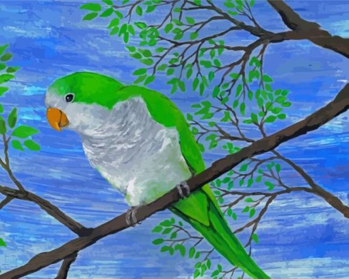 Quaker Parrot On Branch Diamond Painting