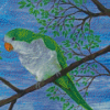 Quaker Parrot On Branch Diamond Painting