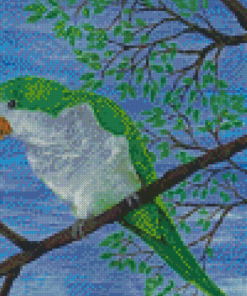 Quaker Parrot On Branch Diamond Painting