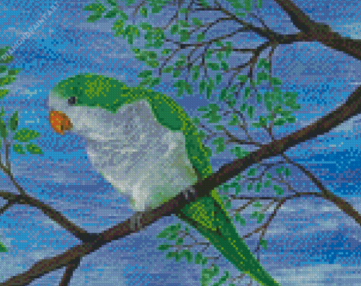 Quaker Parrot On Branch Diamond Painting