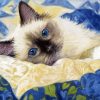 Ragdoll Cat Diamond Painting