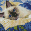 Ragdoll Cat Diamond Painting