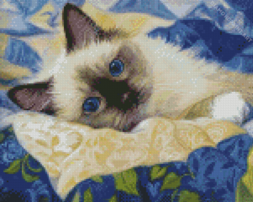 Ragdoll Cat Diamond Painting