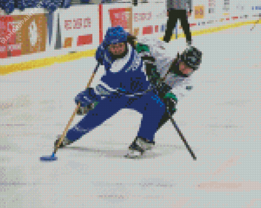 Ringette Women Players Diamond Painting