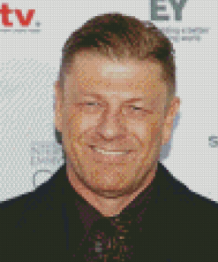 Sean Bean Face Diamond Painting