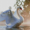 Swans In Water Diamond Painting