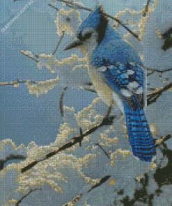 The Blue Jay In Winter Diamond Painting