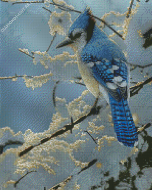 The Blue Jay In Winter Diamond Painting