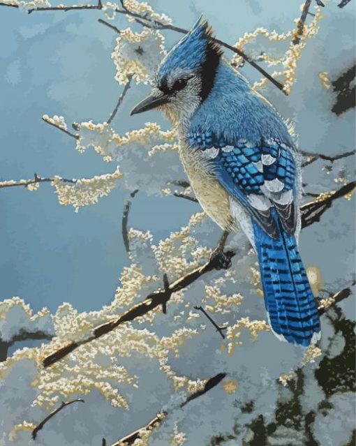 The Blue Jay In Winter Diamond Painting