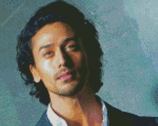 Tiger Shroff Diamond Painting