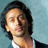 Tiger Shroff Diamond Painting