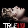 True Blood Poster Diamond Painting