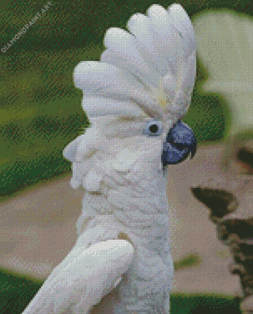 White Umbrella Cockatoo Bird Diamond Painting