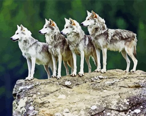 Wolf Pack Animals On Rock Diamond Painting