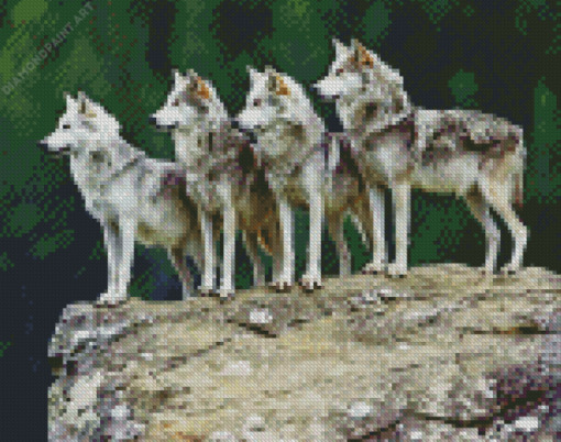 Wolf Pack Animals On Rock Diamond Painting