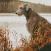 Wolfhound Dog Animal Diamond Painting