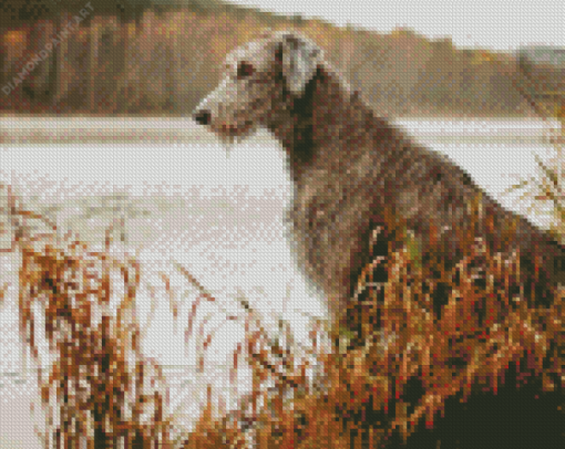 Wolfhound Dog Animal Diamond Painting