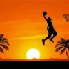 Aesthetic Basketball Silhouette Diamond Paintings