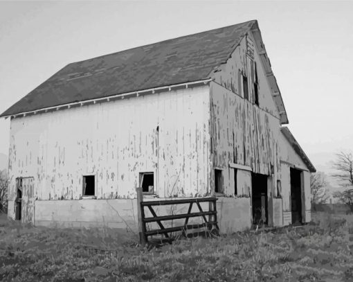 Aesthetic Black And White Barn Diamond Painting