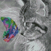 Aesthetic Butterfly On Cat Diamond Painting