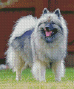 Aesthetic Keeshond Diamond Painting