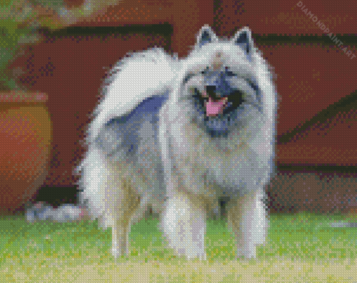 Aesthetic Keeshond Diamond Painting