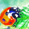 Aesthetic Ladybird Diamond Painting