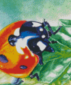 Aesthetic Ladybird Diamond Painting