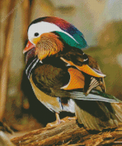 Aesthetic Mandarin Duck Diamond Painting