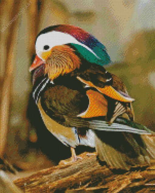 Aesthetic Mandarin Duck Diamond Painting