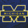 Aesthetic Michigan Wolverines Diamond Painting