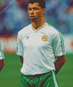 Aesthetic Paul Mcgrath Diamond Painting