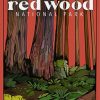 Aesthetic Redwood Diamond Painting