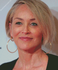 Aesthetic Sharon Stone Diamond Painting