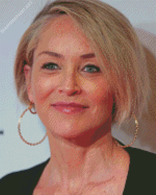 Aesthetic Sharon Stone Diamond Painting