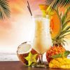 Aesthetic Tropical Drinks Art Diamond Paintings