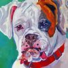 Aesthetic White Boxer Diamond Painting