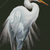 Aesthetic White Egret Bird Diamond Paintings