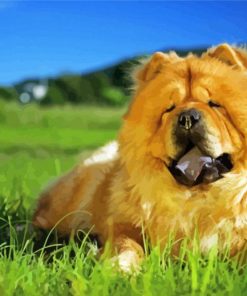 Aesthetic Chow Chow Diamond Painting