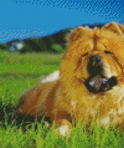 Aesthetic Chow Chow Diamond Painting