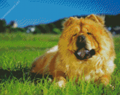 Aesthetic Chow Chow Diamond Painting