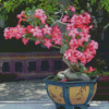 Aesthetic Desert Rose Garden Diamond Painting