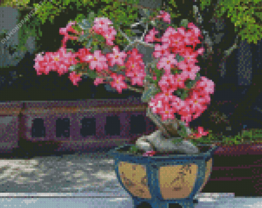 Aesthetic Desert Rose Garden Diamond Painting