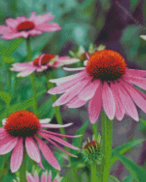 Aesthetic Echinacea Flowers Diamond Painting